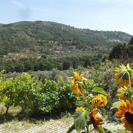 شقة Quinta Do Pina غوآردا المظهر الخارجي الصورة