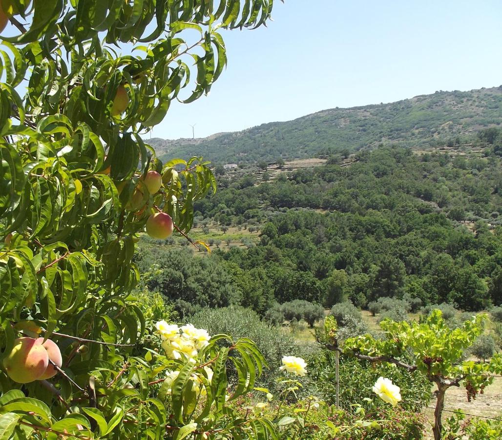 شقة Quinta Do Pina غوآردا المظهر الخارجي الصورة