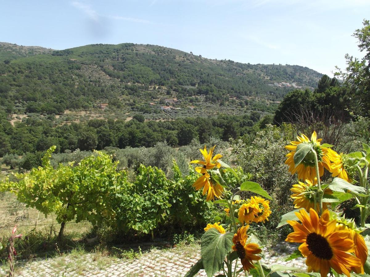 شقة Quinta Do Pina غوآردا المظهر الخارجي الصورة
