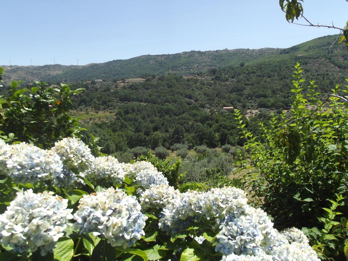 شقة Quinta Do Pina غوآردا المظهر الخارجي الصورة