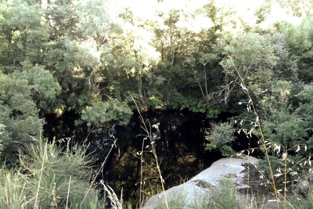 شقة Quinta Do Pina غوآردا المظهر الخارجي الصورة