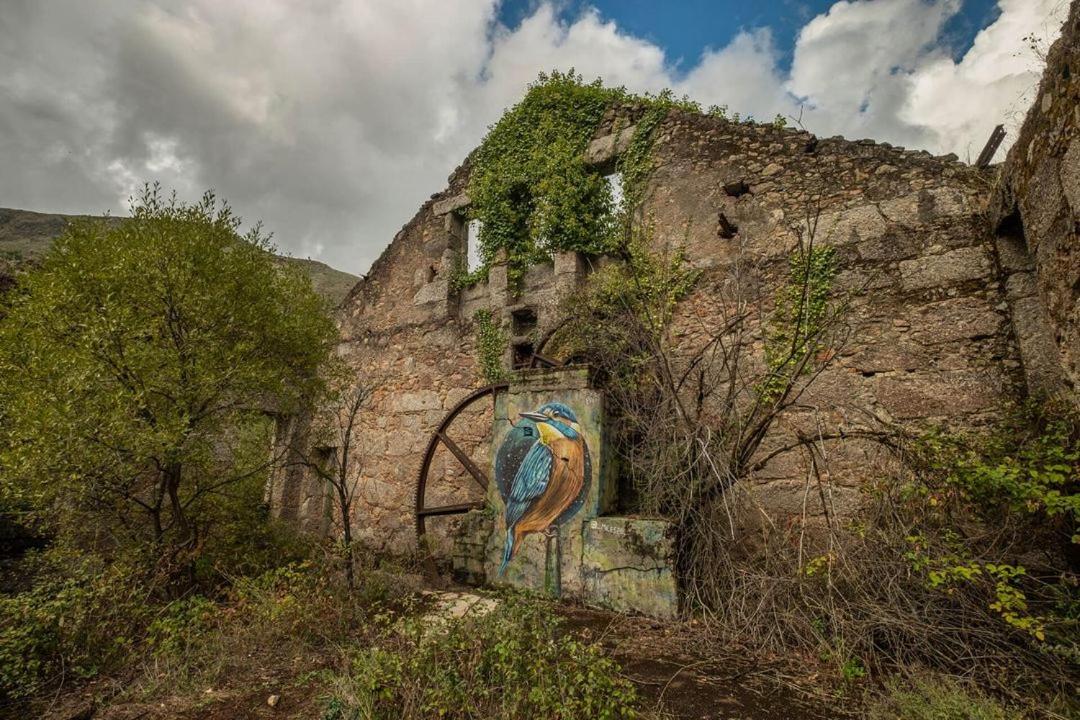 شقة Quinta Do Pina غوآردا المظهر الخارجي الصورة